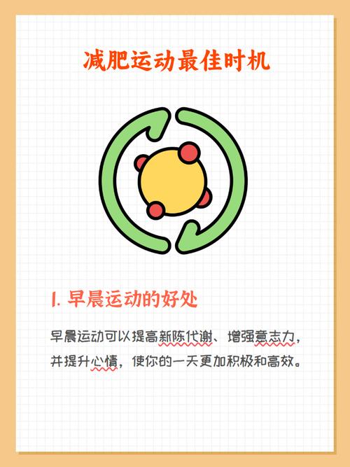 早上做什么运动可以减肥