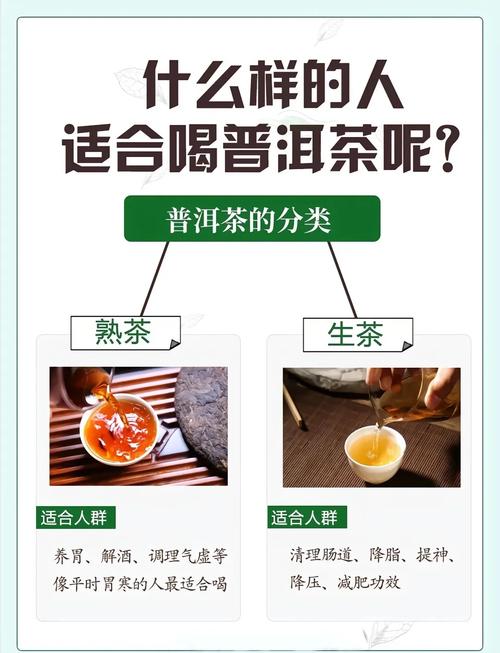 什么茶叶有减肥的功效