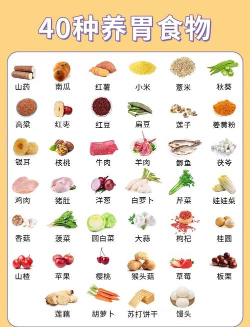 什么粥养胃又好消化