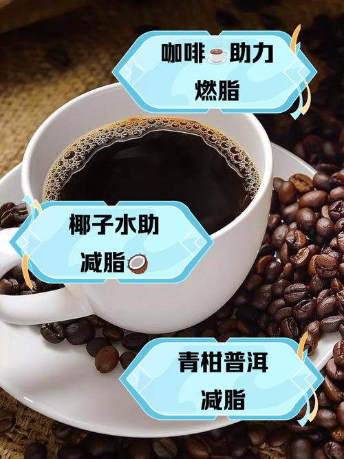 晚上睡前喝什么水减肥吗