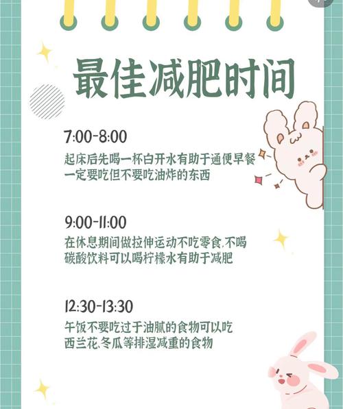 减肥什么时候最好