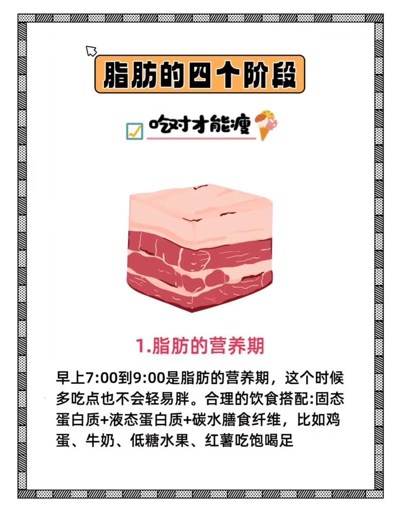 减肥摄入什么脂肪