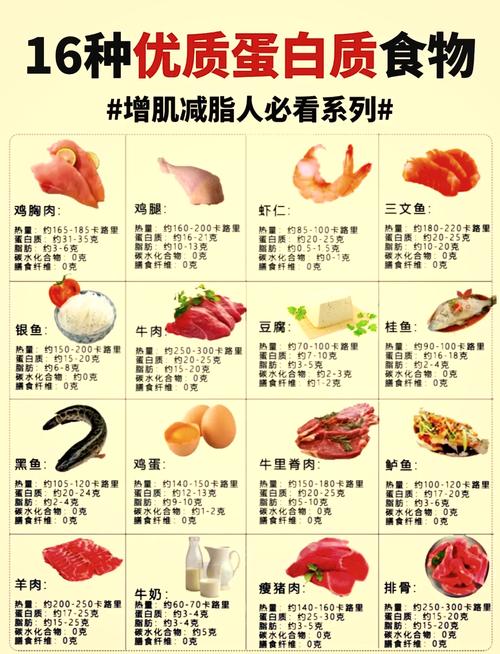 减肥期间吃什么蛋白质