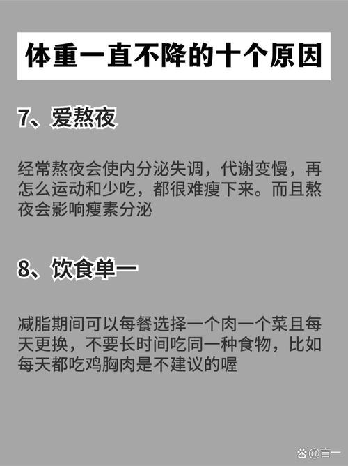 减肥都要补什么时候