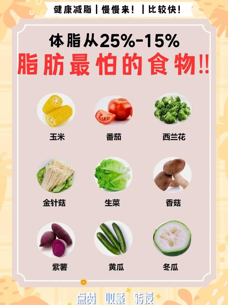 减肥吃什么脂肪