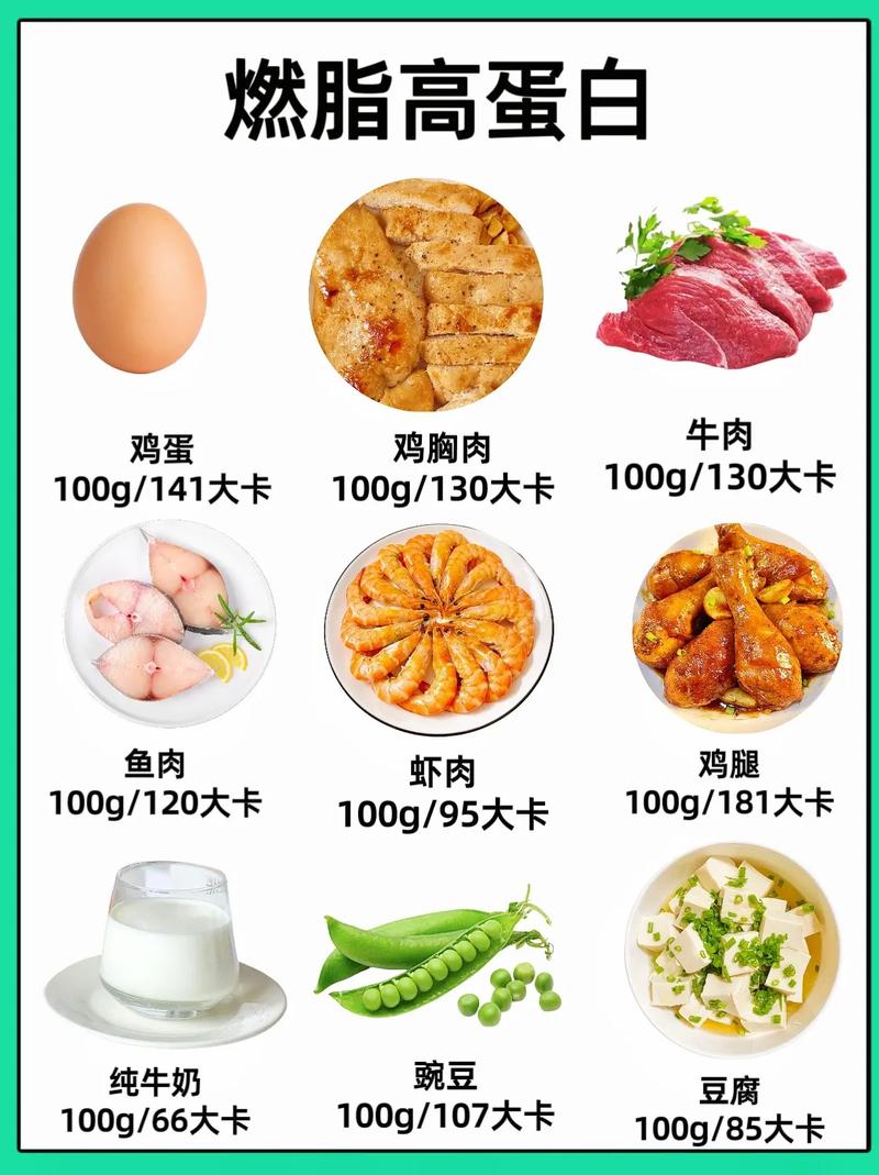 减肥吃什么脂肪
