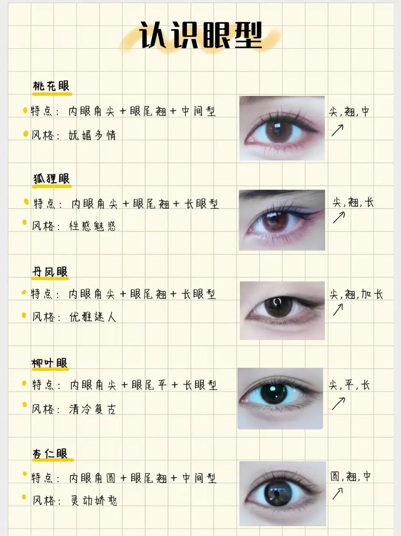 眼睛都有什么类型