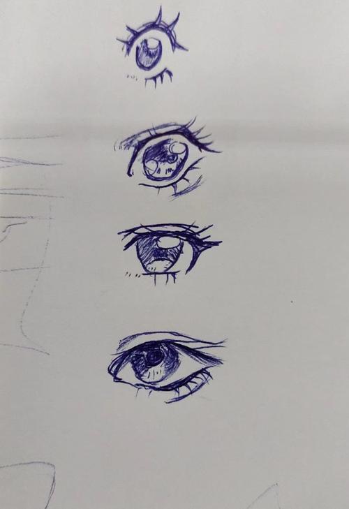 眼睛都有什么类型