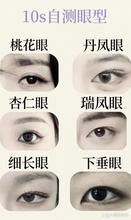 眼睛都有什么类型