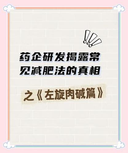 减肥吃氨基酸有什么用
