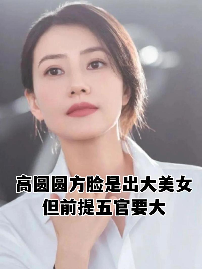 什么是大脸