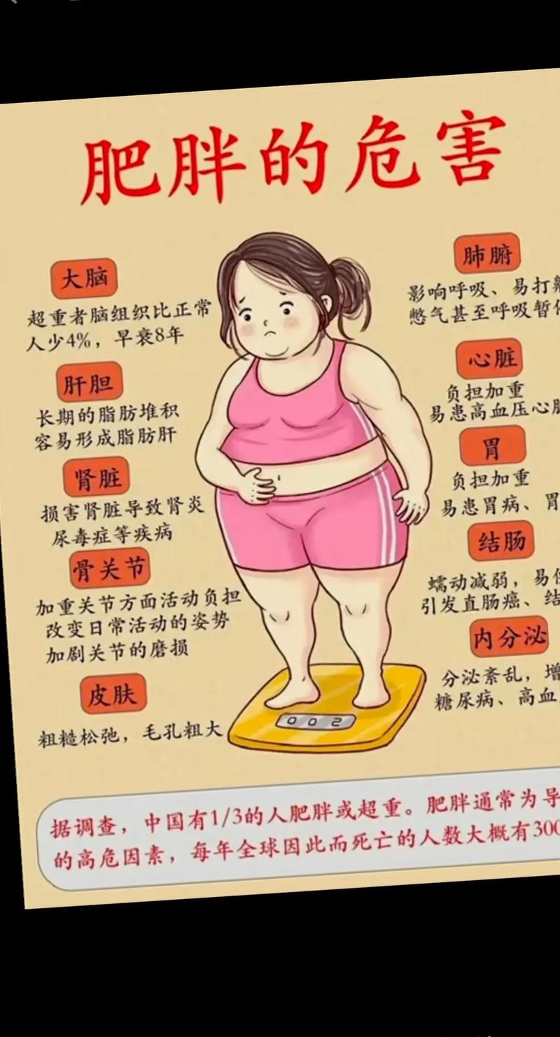减肥期间为什么会发胖