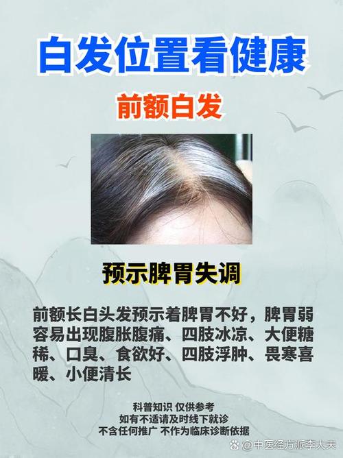 头发不好是什么原因
