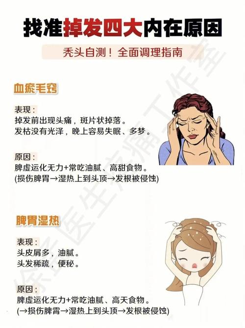 头发不好是什么原因