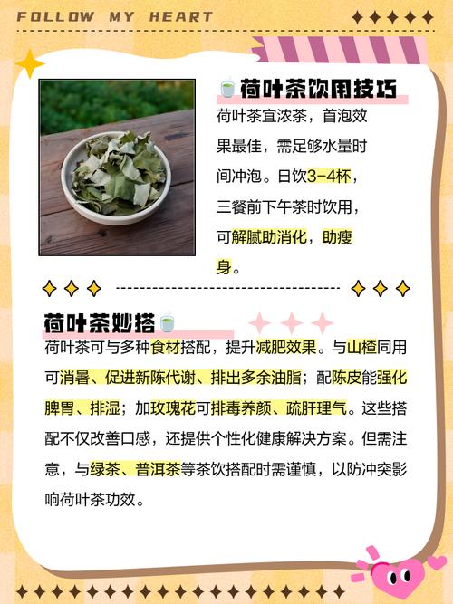 荷叶和什么泡茶减肥吗