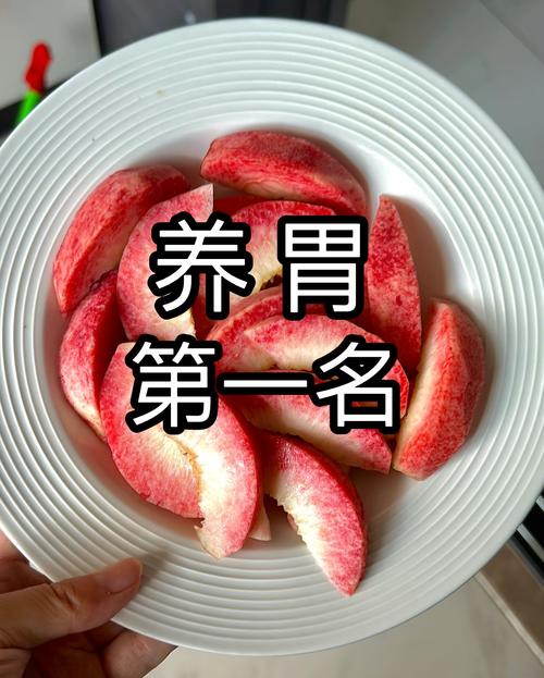 胃不好吃什么菜养胃