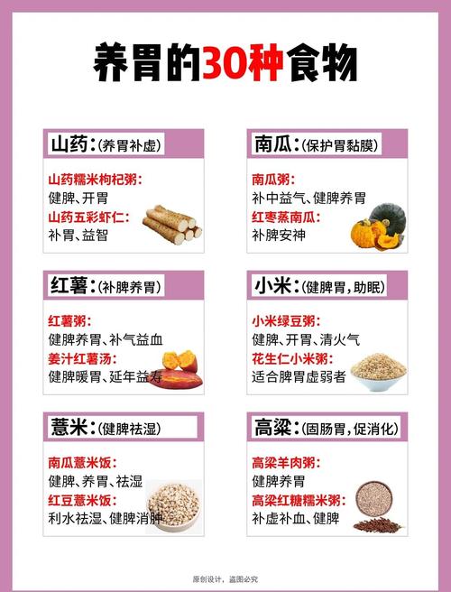 胃不好吃什么菜养胃