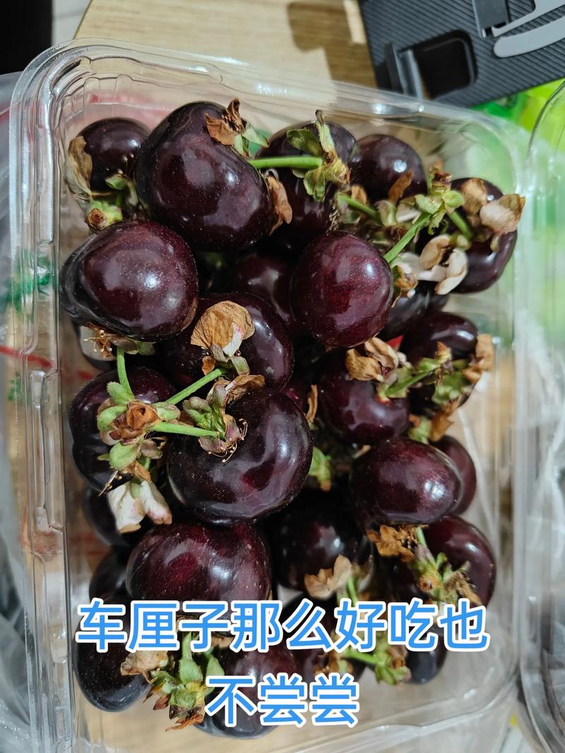 吃水煮什么可以减肥吗