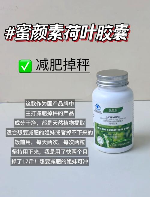 什么减肥胶囊好