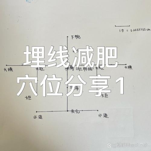 减肥的埋线是什么意思