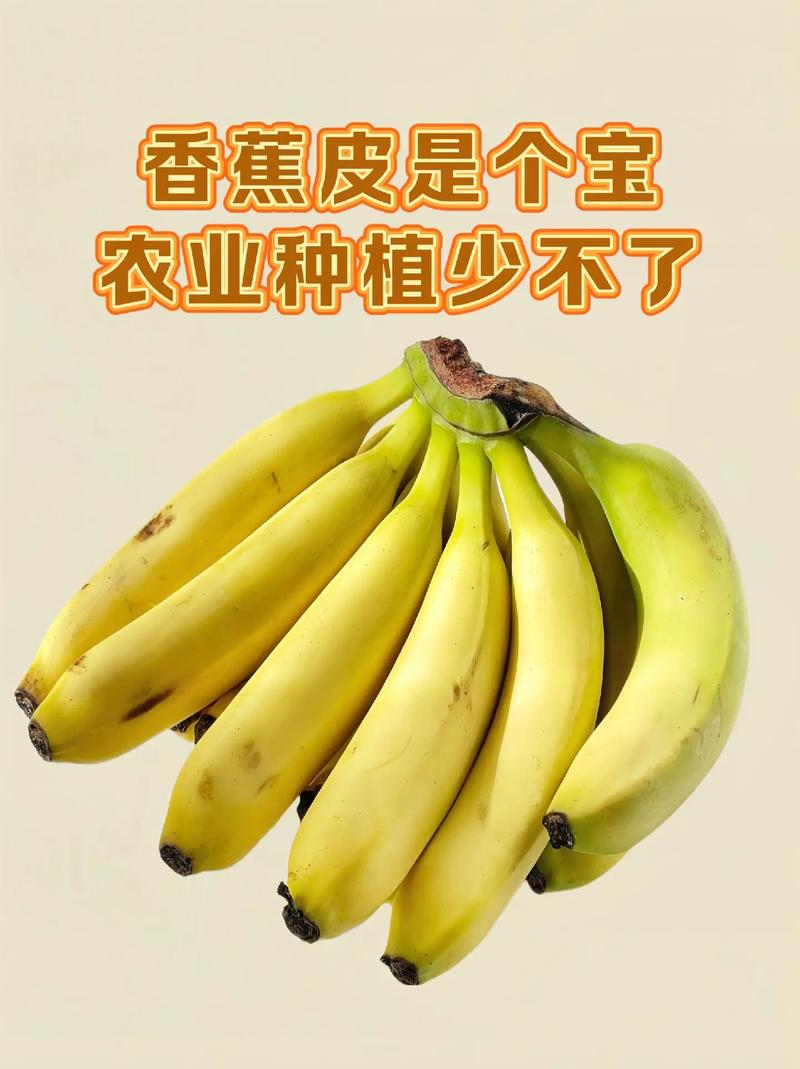 手脱皮吃什么水果好