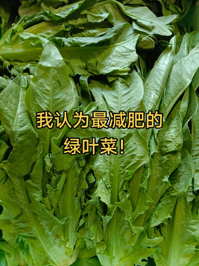 什么青菜有利于减肥
