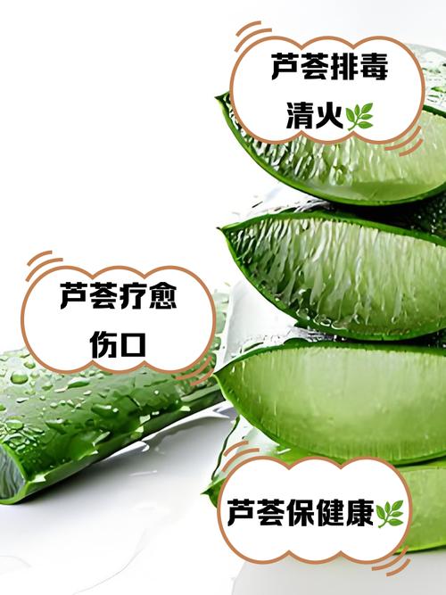 芦荟吃了有什么好处
