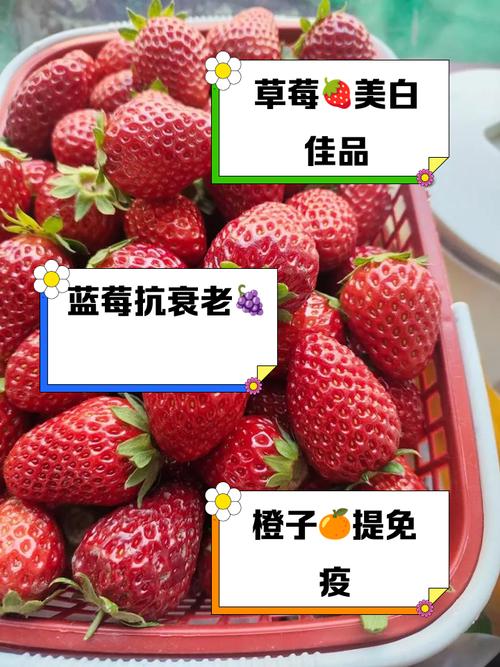 吃什么养颜皮肤好