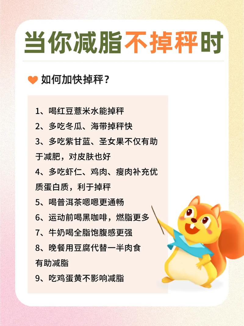 人为什么减肥呢