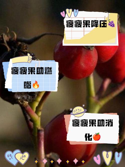瘦瘦果加什么快速减肥