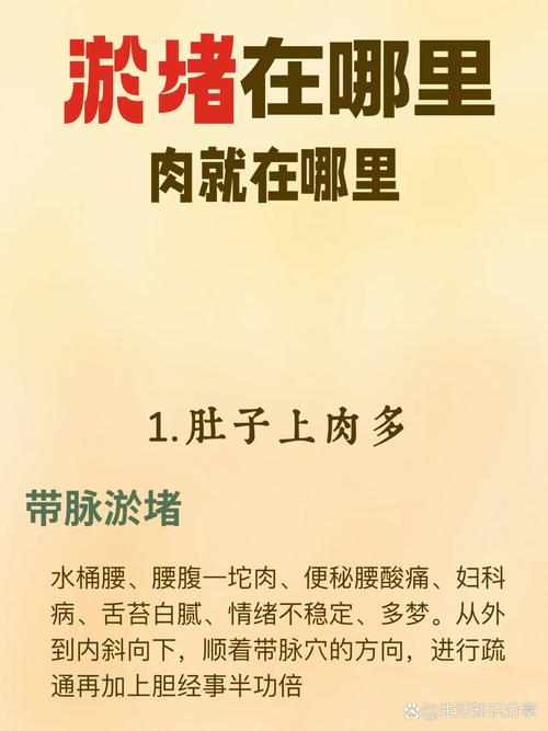 肚子长肉是什么原因
