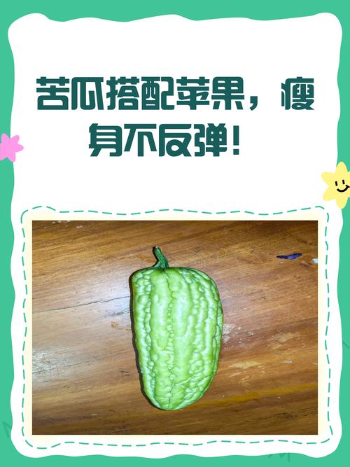 除了苦瓜还有什么减肥效果好