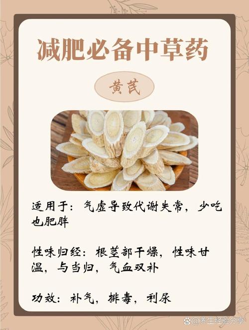 什么中草药可以减肥