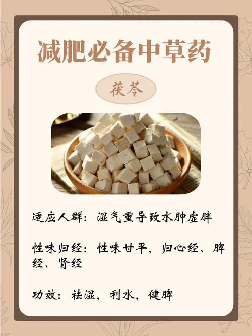 什么中草药可以减肥
