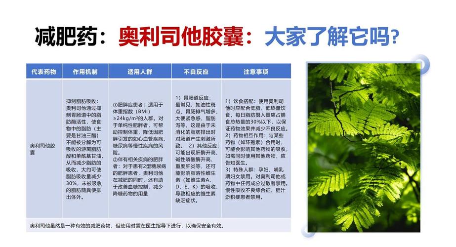明星吃什么减肥药