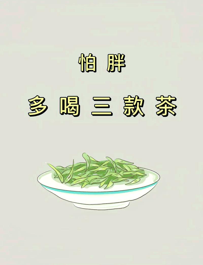 女生喝什么茶减肥