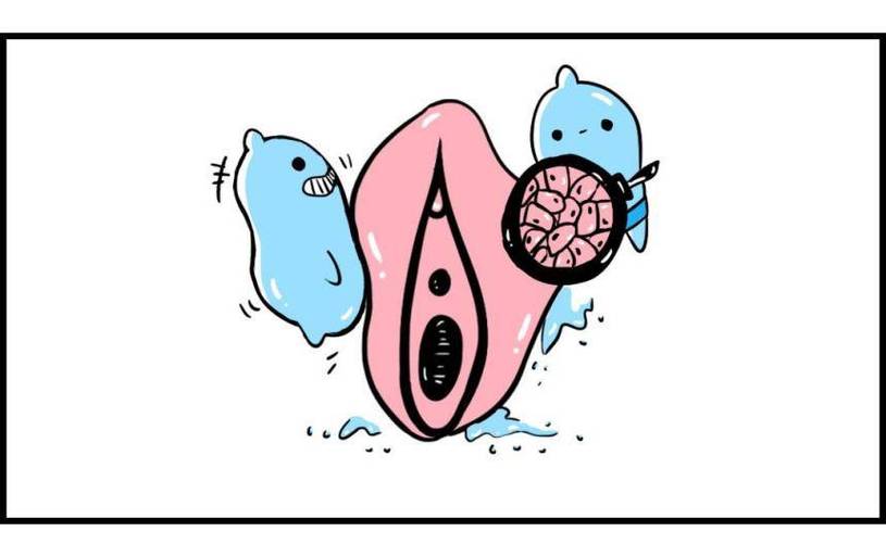 阴唇肿大什么原因