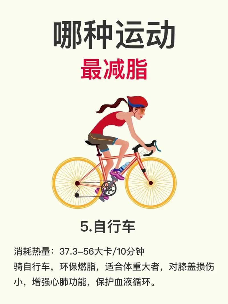 运动为什么能减肥