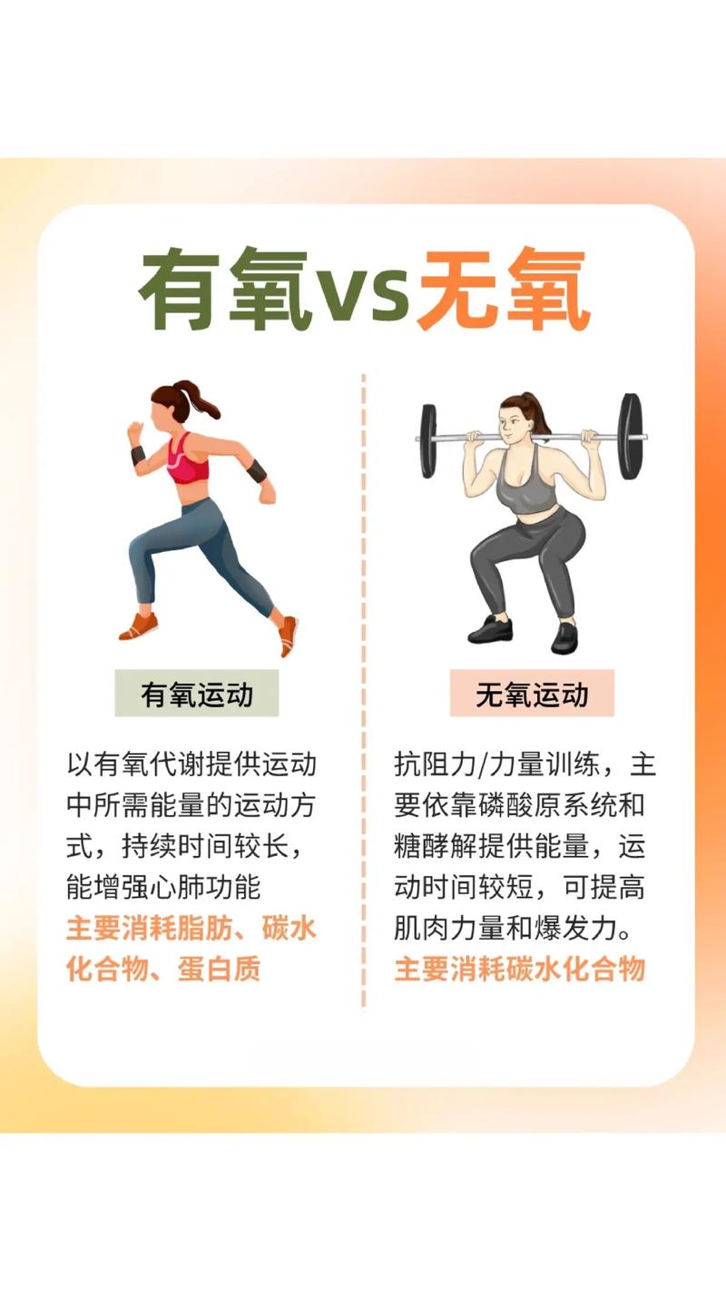 运动为什么能减肥