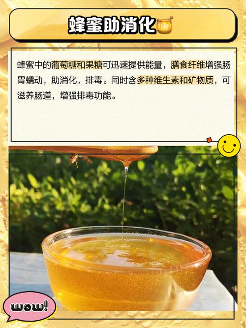 减肥什么蜂蜜好