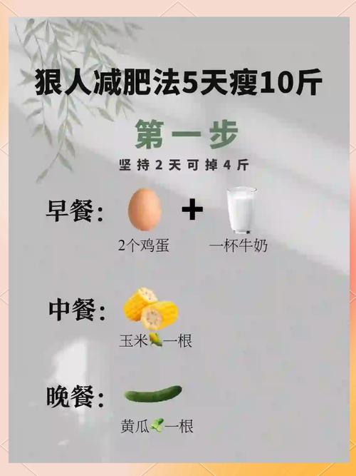 做什么减肥最快