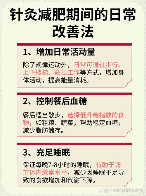 针灸减肥吃什么好