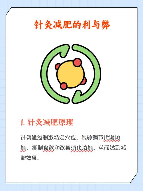 针灸减肥吃什么好