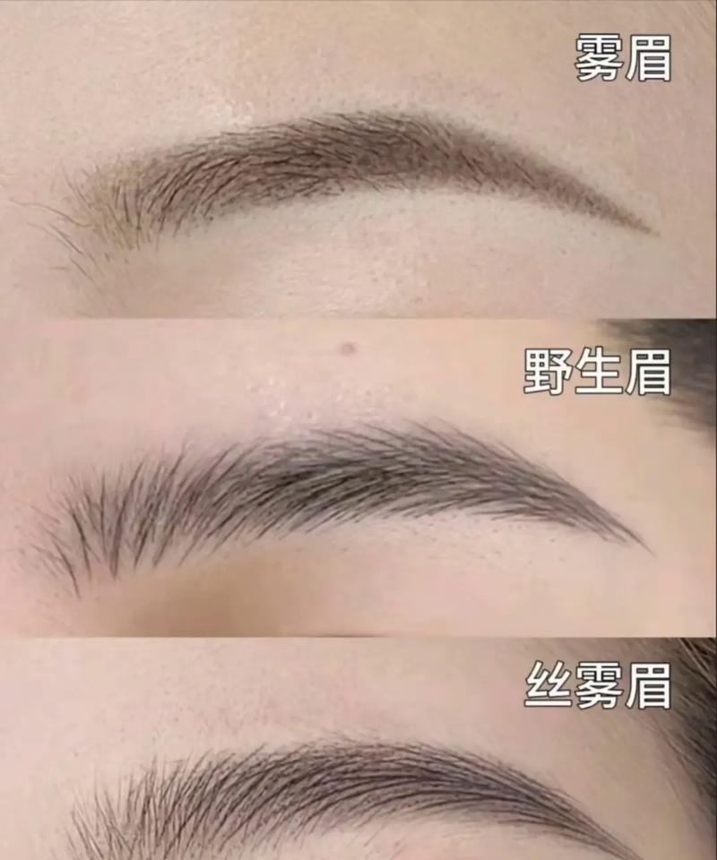 什么像眉毛