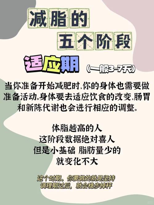 减肥原理是什么