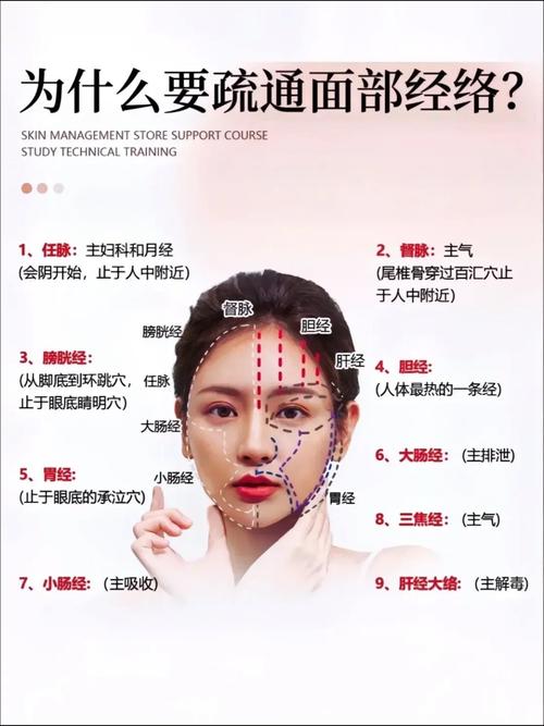 美容养生是做什么的