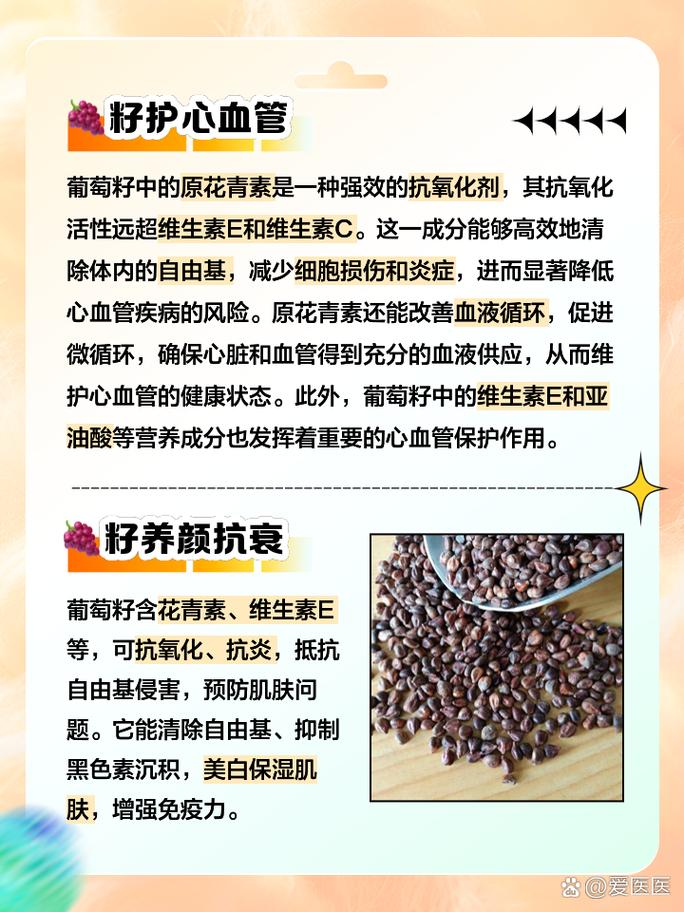 葡萄籽有什么用处