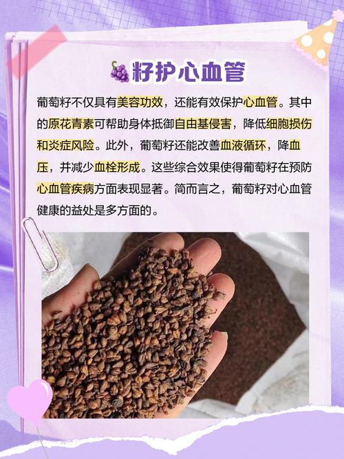 葡萄籽有什么用处