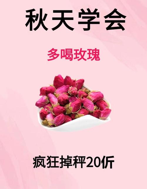 秋季减肥喝什么花茶