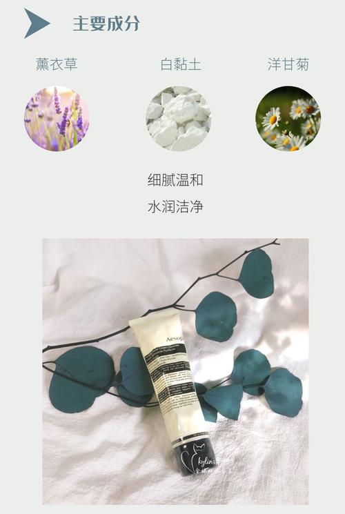 伊索洗面奶怎么用